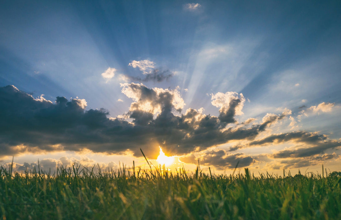 July: Healing Your Inner Child