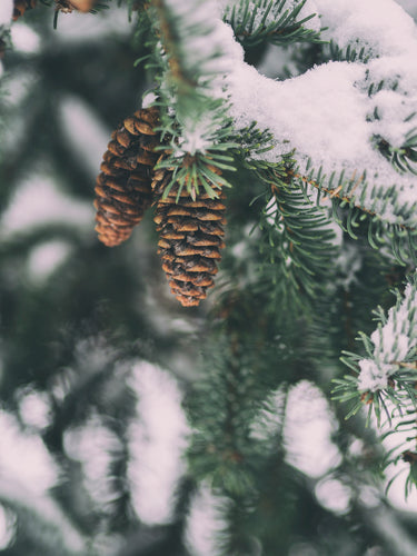 February: Embracing Self-Love and Inner Harmony