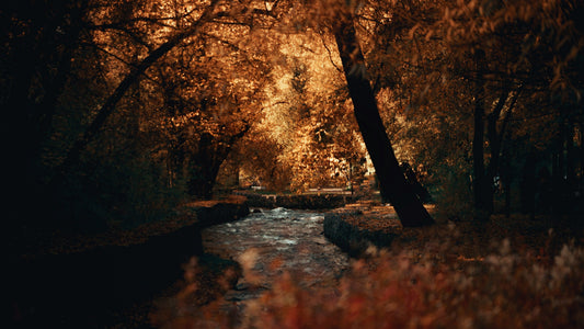October: Harmony in Chaos