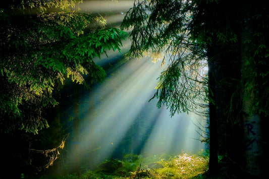 August: Shining Your Light